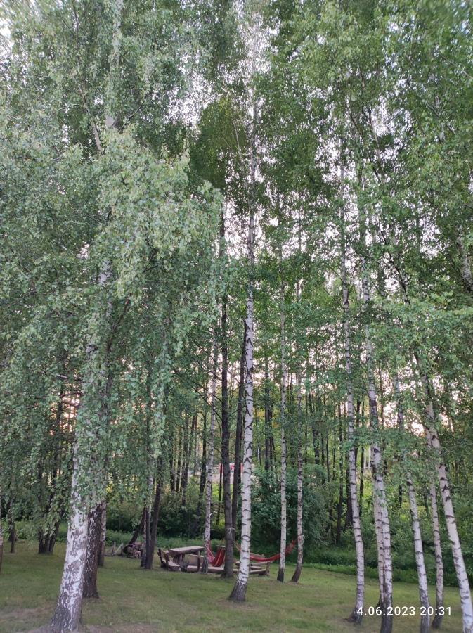 Brzozowy Chillout Ferienhaus