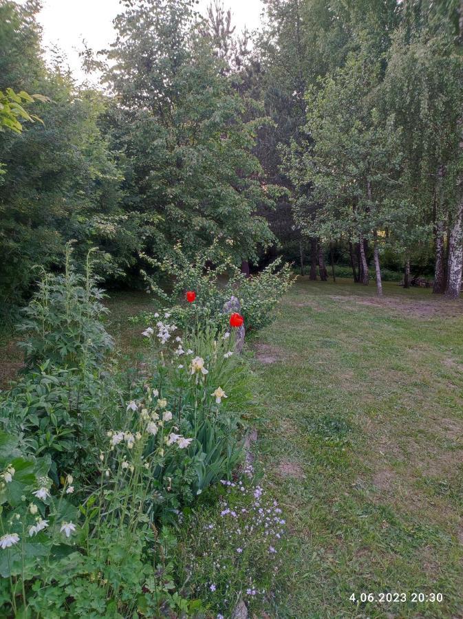 Ferienhaus Brzozowy Chillout *